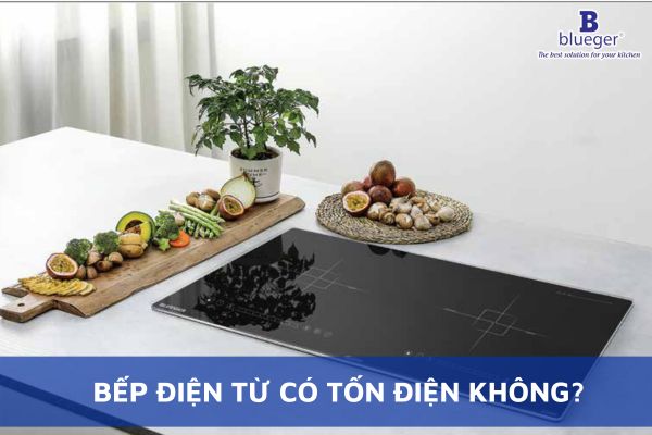 Giải Đáp Thắc Mắc Bếp Điện Từ Có Tốn Điện Không