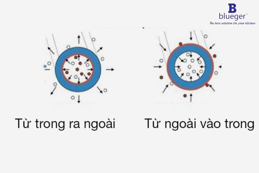 Máy Lọc Nước Tại Vòi Là Gì? Cấu Tạo Và Nguyên Lý Hoạt Động Của Máy Lọc Nước Tại Vòi