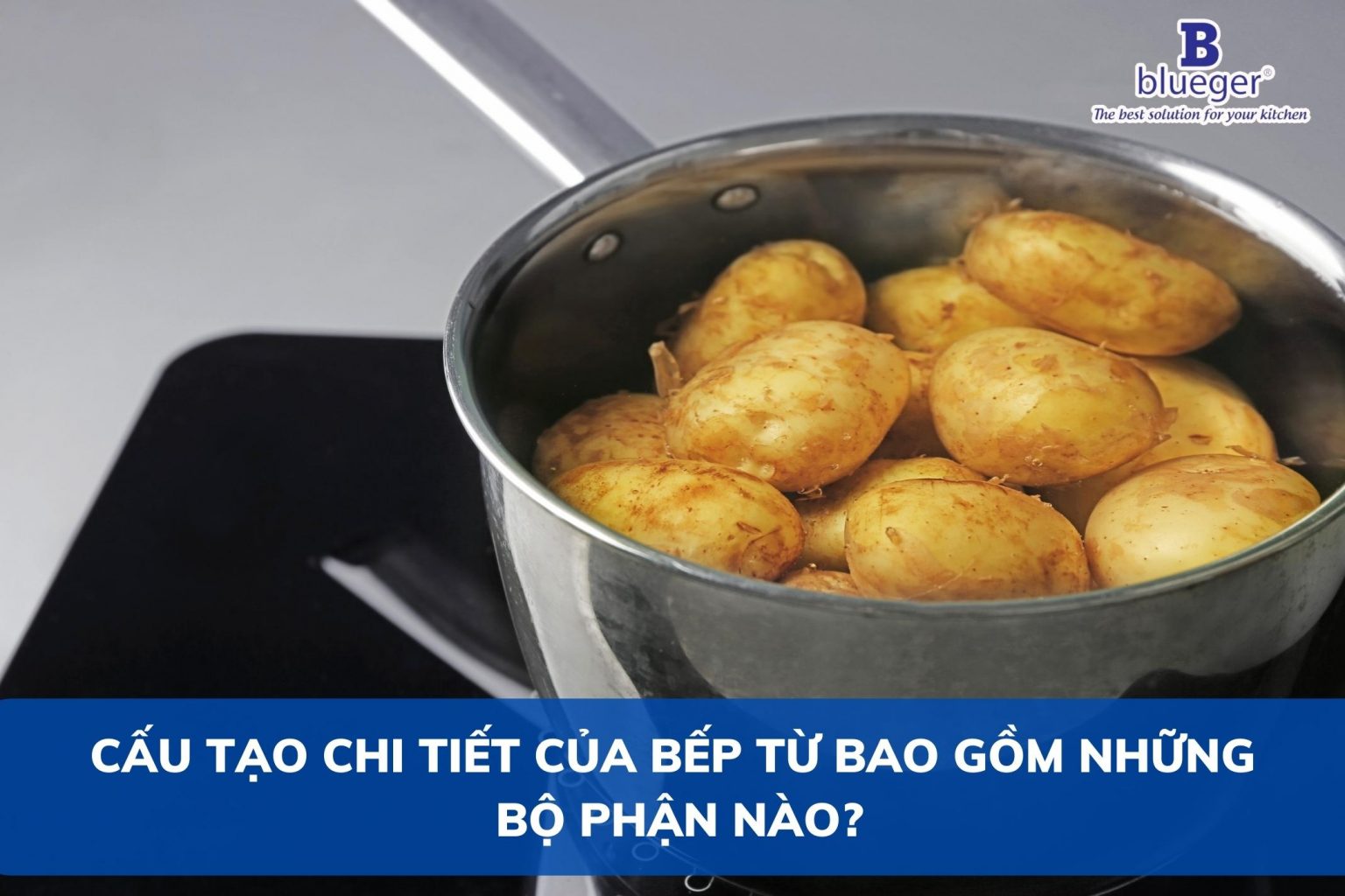 Cấu Tạo Chi Tiết Của Bếp Từ Bao Gồm Những Bộ Phận Nào?